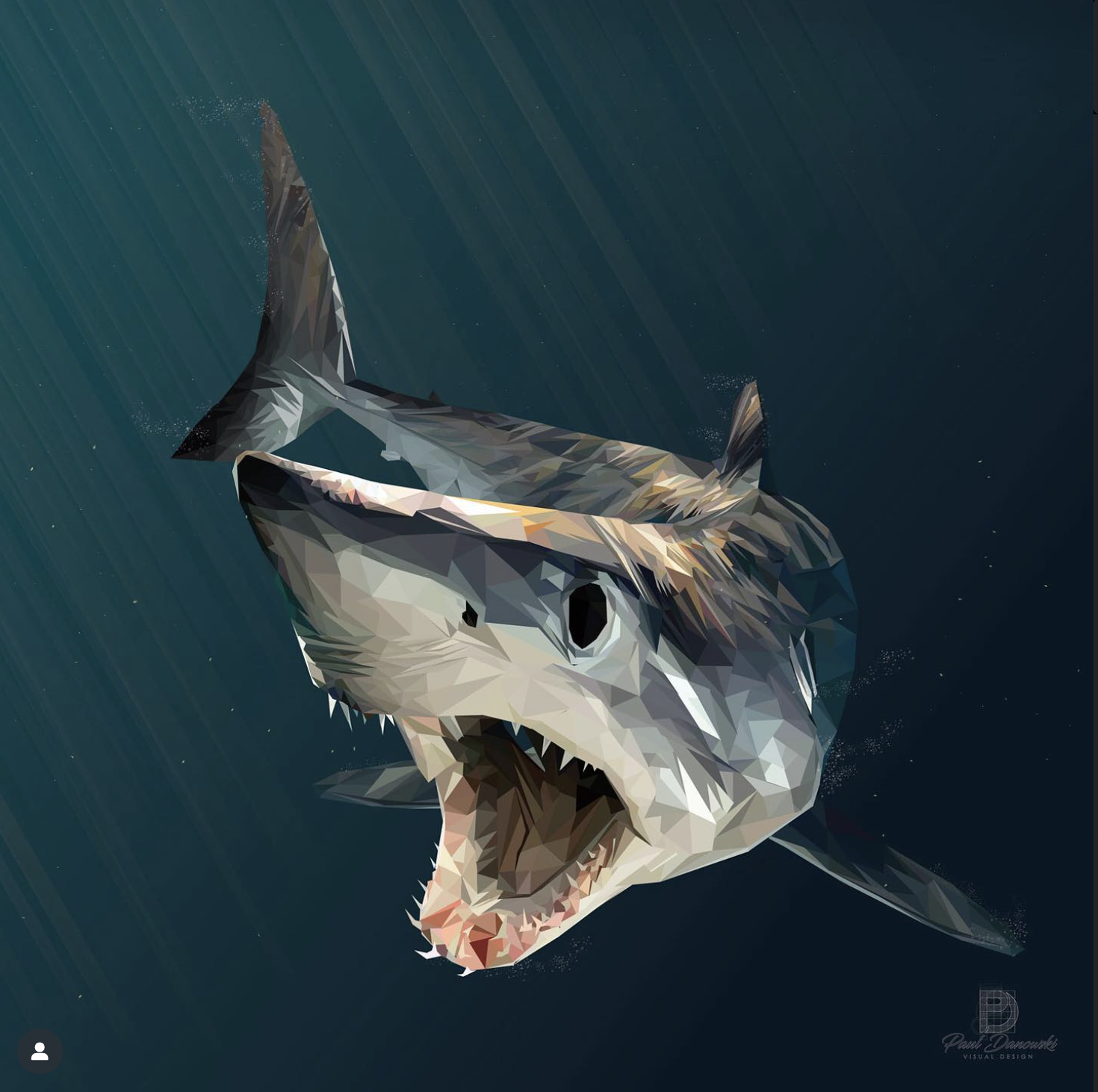 Mako shark low-poly vector illustration